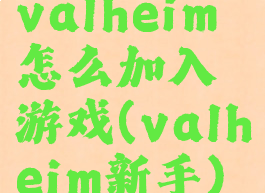 valheim怎么加入游戏(valheim新手)