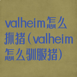 valheim怎么抓猪(valheim怎么驯服猪)