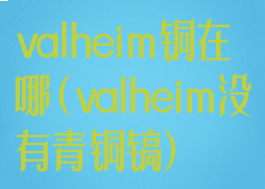 valheim铜在哪(valheim没有青铜镐)