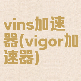 vins加速器(vigor加速器)