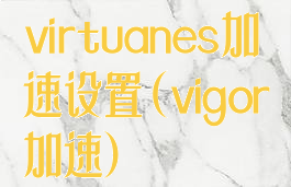 virtuanes加速设置(vigor加速)