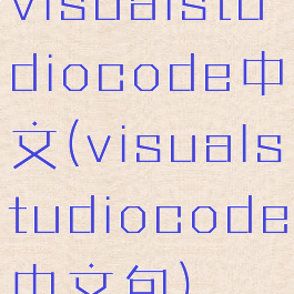 visualstudiocode中文(visualstudiocode中文包)