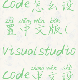 visualstudiocode怎么设置中文版(visualstudiocode中文设置)