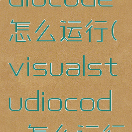 visualstdiocode怎么运行(visualstudiocode怎么运行c++代码)