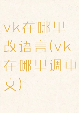 vk在哪里改语言(vk在哪里调中文)