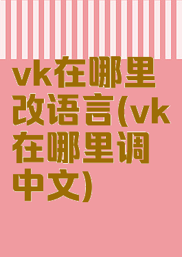 vk在哪里改语言(vk在哪里调中文)