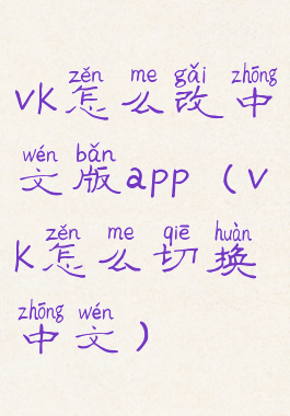 vk怎么改中文版app(vk怎么切换中文)