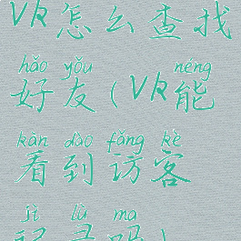 vk怎么查找好友(vk能看到访客记录吗)