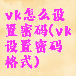 vk怎么设置密码(vk设置密码格式)