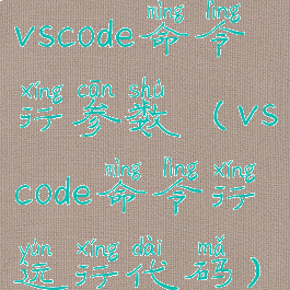 vscode命令行参数(vscode命令行运行代码)