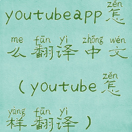 youtubeapp怎么翻译中文(youtube怎样翻译)