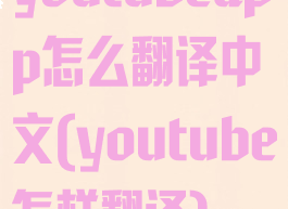 youtubeapp怎么翻译中文(youtube怎样翻译)