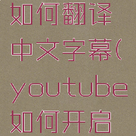 youtube如何翻译中文字幕(youtube如何开启中文翻译)