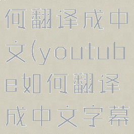 youtube如何翻译成中文(youtube如何翻译成中文字幕)