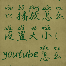 youtube小窗口播放怎么设置大小(youtube怎么小屏播放)