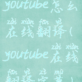 youtube怎么在线翻译(youtube在线翻译字幕)