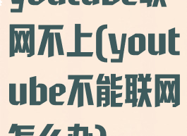 youtube联网不上(youtube不能联网怎么办)