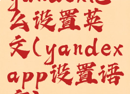 yandex怎么设置英文(yandexapp设置语言)