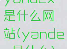 yandex是什么网站(yandex是什么)
