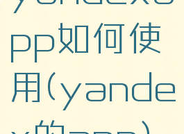 yandexapp如何使用(yandex的app)