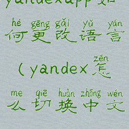 yandexapp如何更改语言(yandex怎么切换中文)