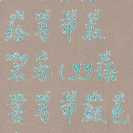 yy语音怎么给马甲取名字(yy语音马甲颜色的功能)