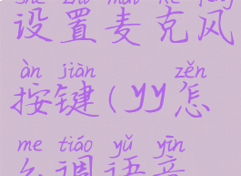 yy语音怎么设置麦克风按键(yy怎么调语音按键)
