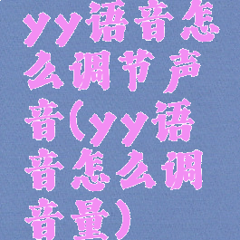 yy语音怎么调节声音(yy语音怎么调音量)