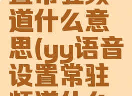 yy语音设置常驻频道什么意思(yy语音设置常驻频道什么意思呀)