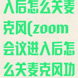 zoom会议进入后怎么关麦克风(zoom会议进入后怎么关麦克风功能)