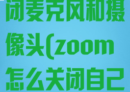 zoom怎么关闭麦克风和摄像头(zoom怎么关闭自己的摄像头)